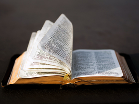 Online Bible